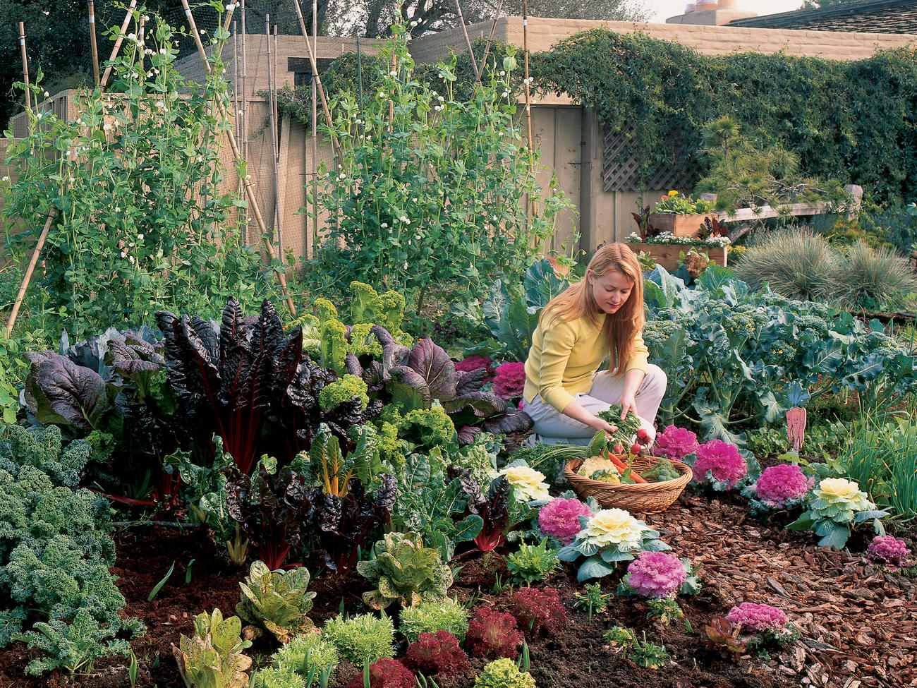 Free plan: Your cool-season vegetable garden