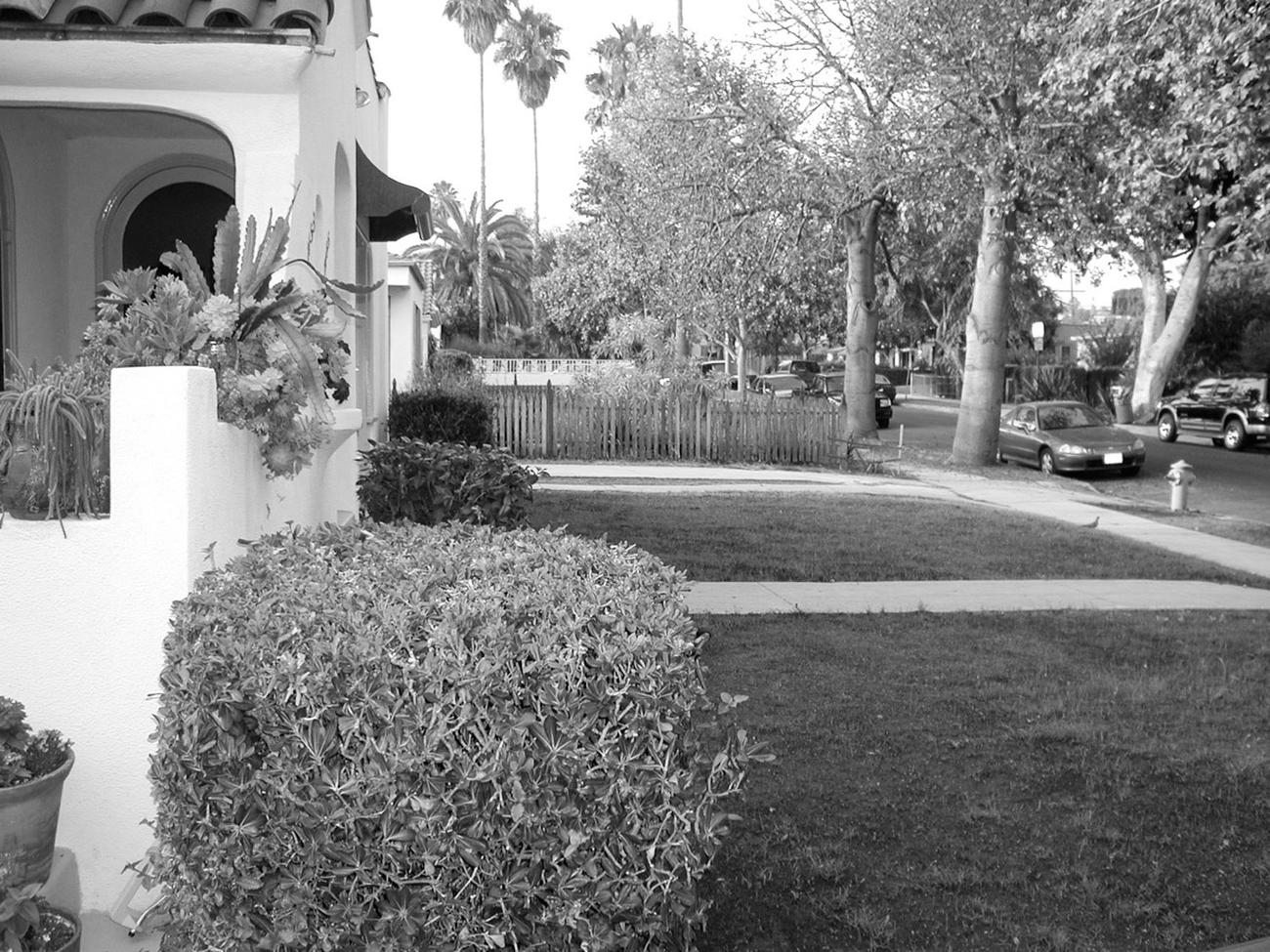 Front Lawn Landscaping Ideas