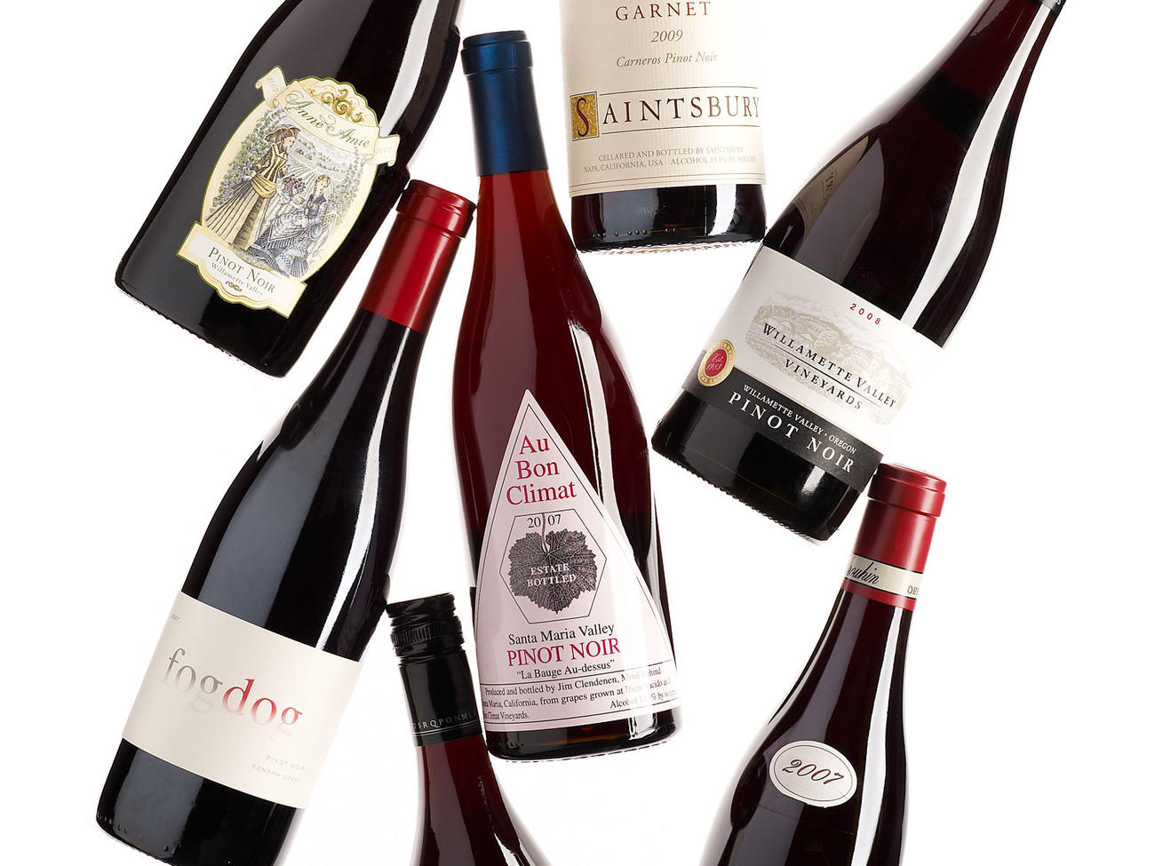 Top Pinot Noir Picks