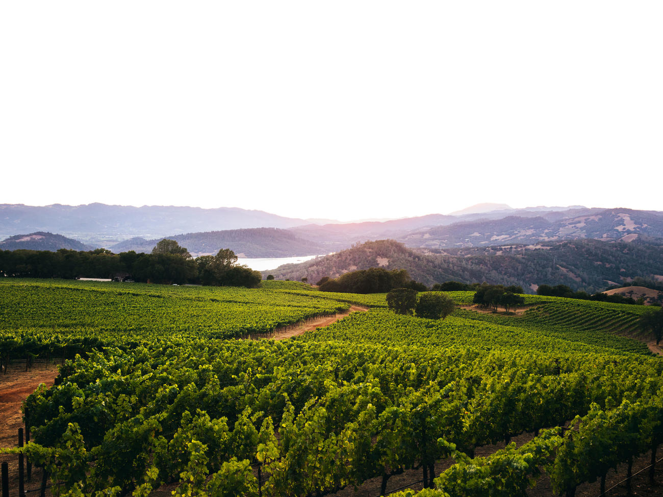 Local’s Guide to Napa Valley