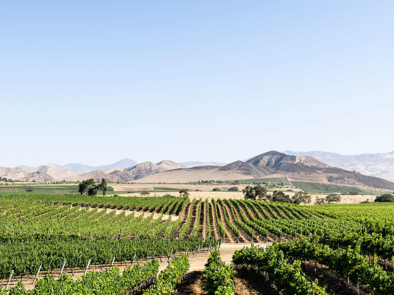 Local’s Guide to Santa Ynez Valley