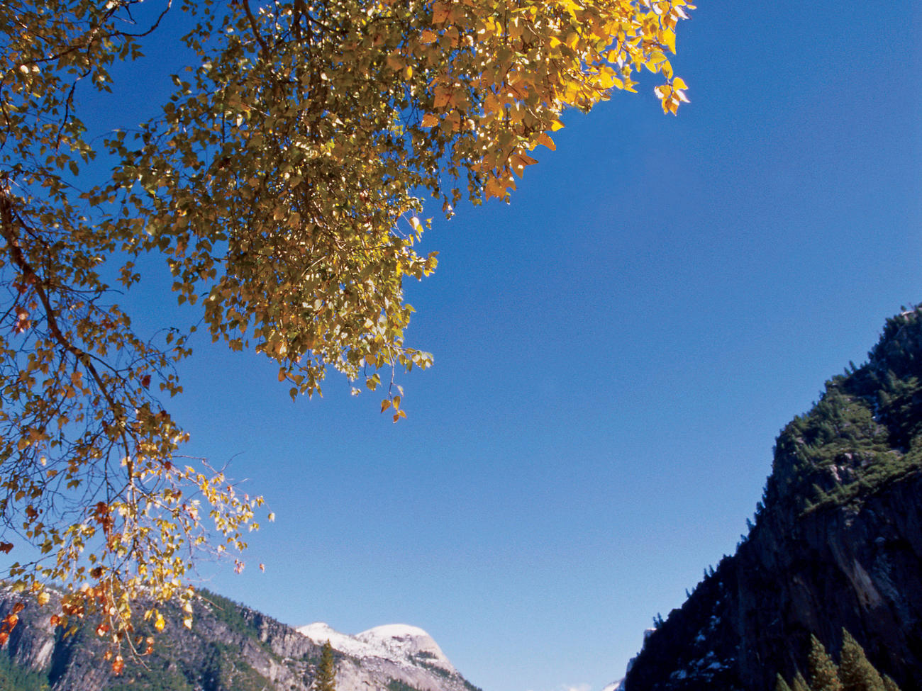 National Parks photo contest rules