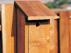 Build a better birdhouse