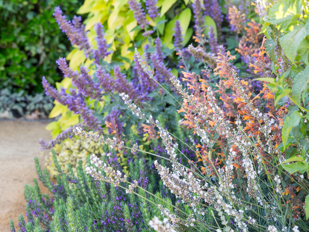 Your Ultimate Fall Garden To-Do List to Prep for Winter
