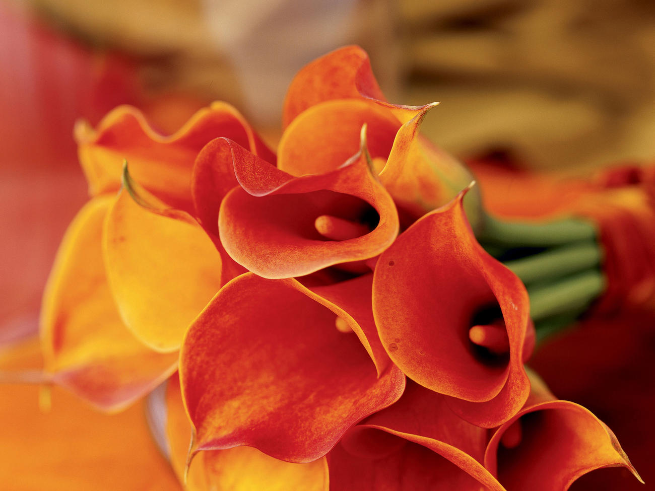 Create a Bouquet of Callas