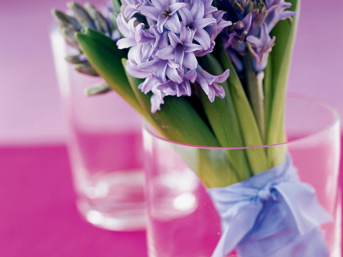 Create a Bouquet of Hyacinths