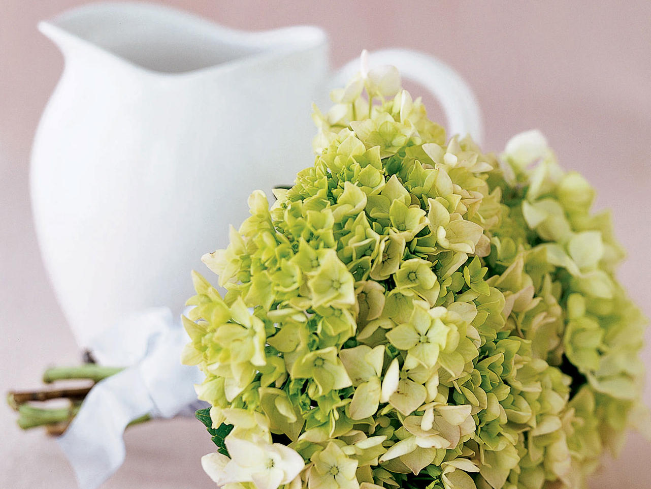 Create a Bouquet of Hydrangeas