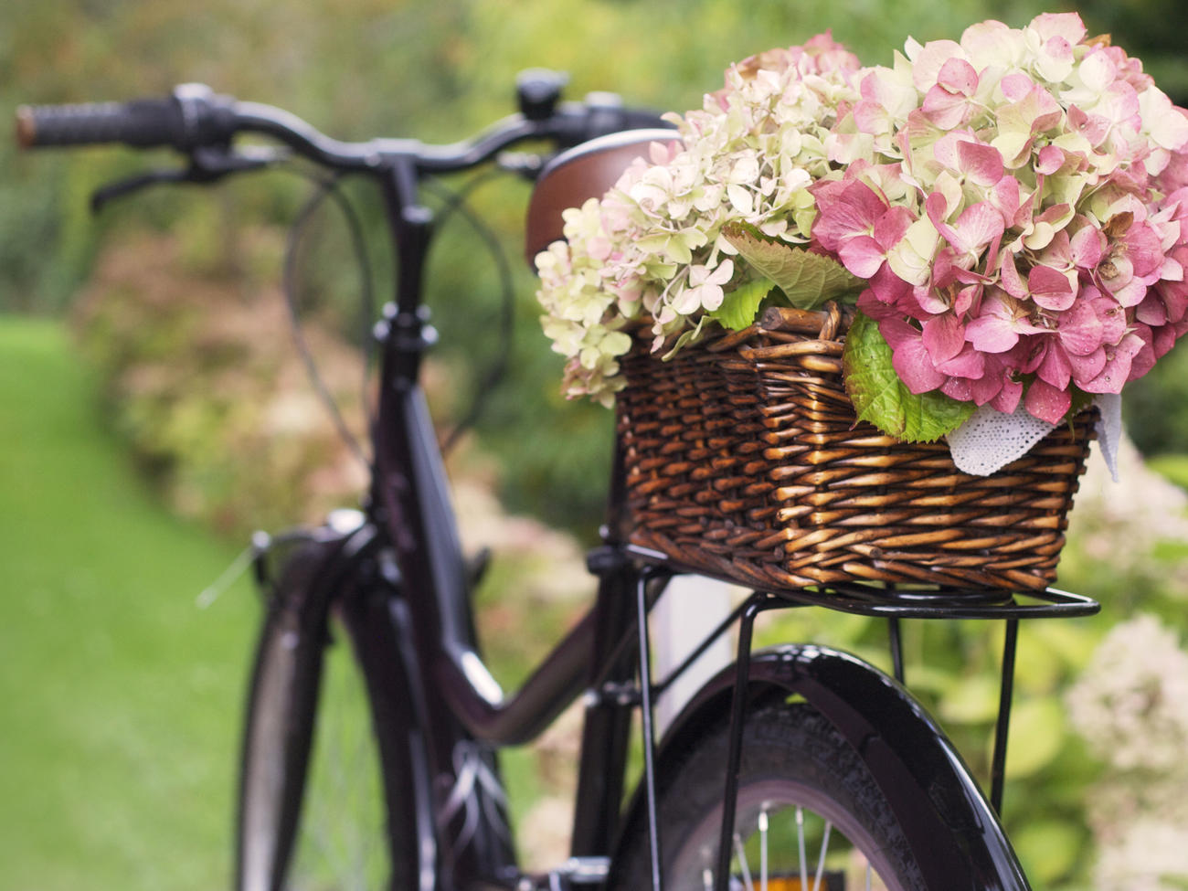 The Secret to Drying Hydrangeas and Other Botanicals