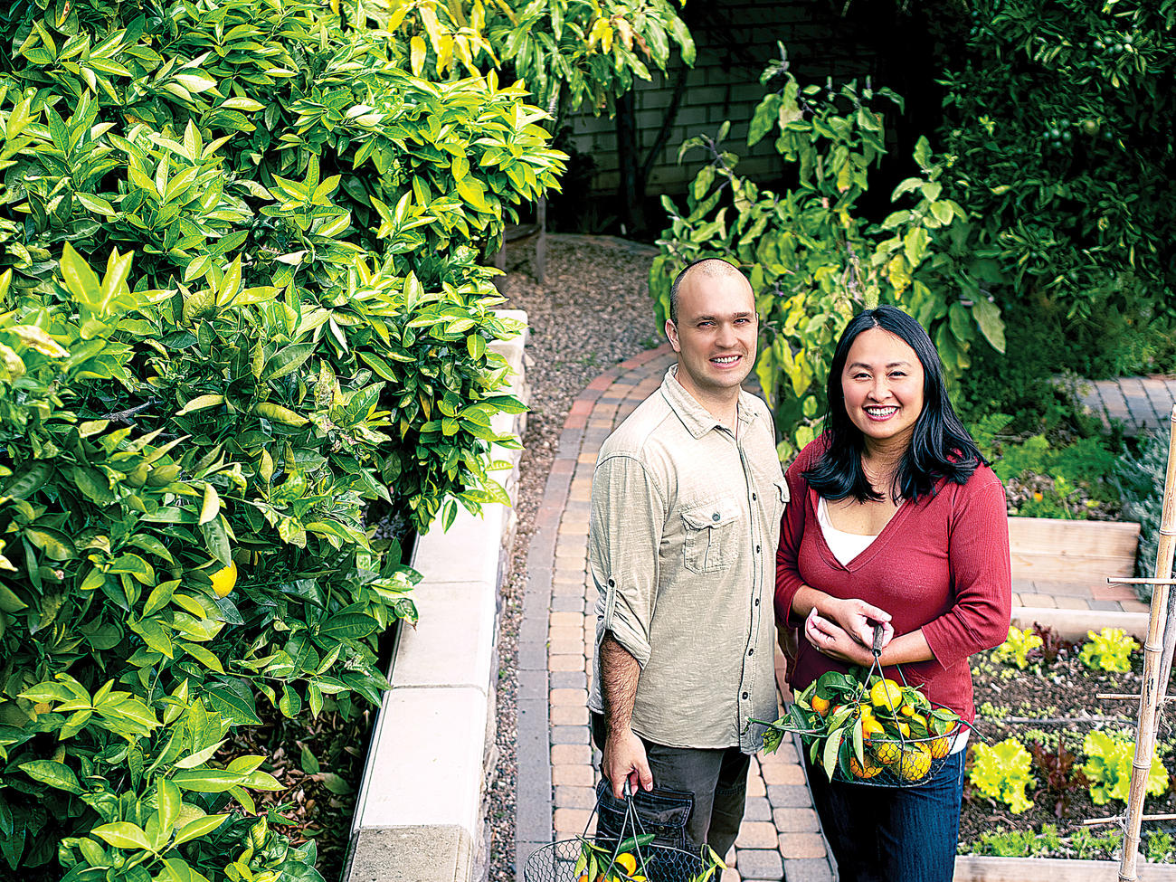 Growing Your Own Citrus Trees is Easy With These Basic Tips Sunset