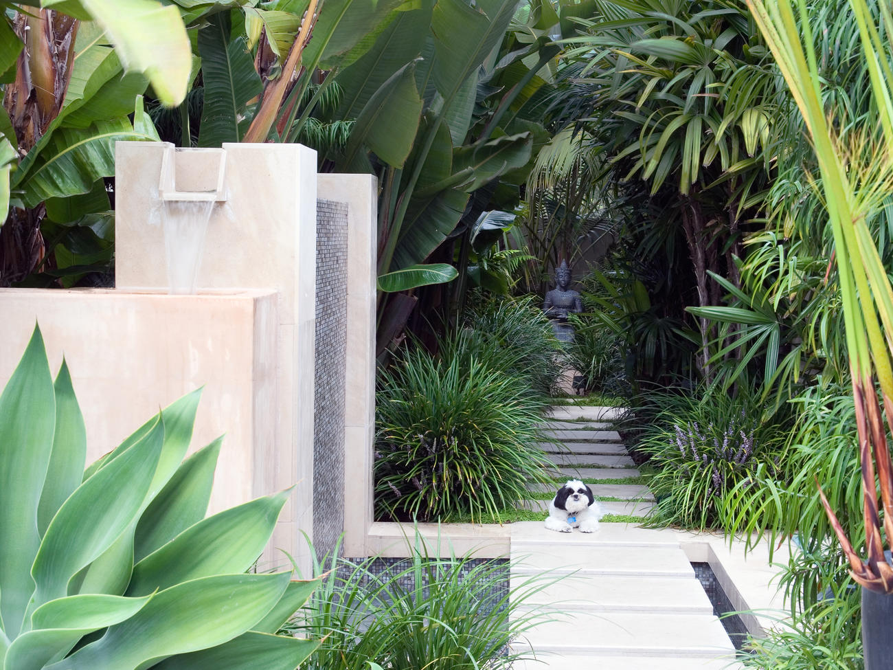 Gorgeous garden oases photo contest rules