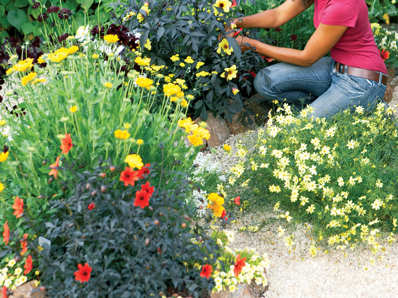 How to Design a Hot-Color Flower Garden