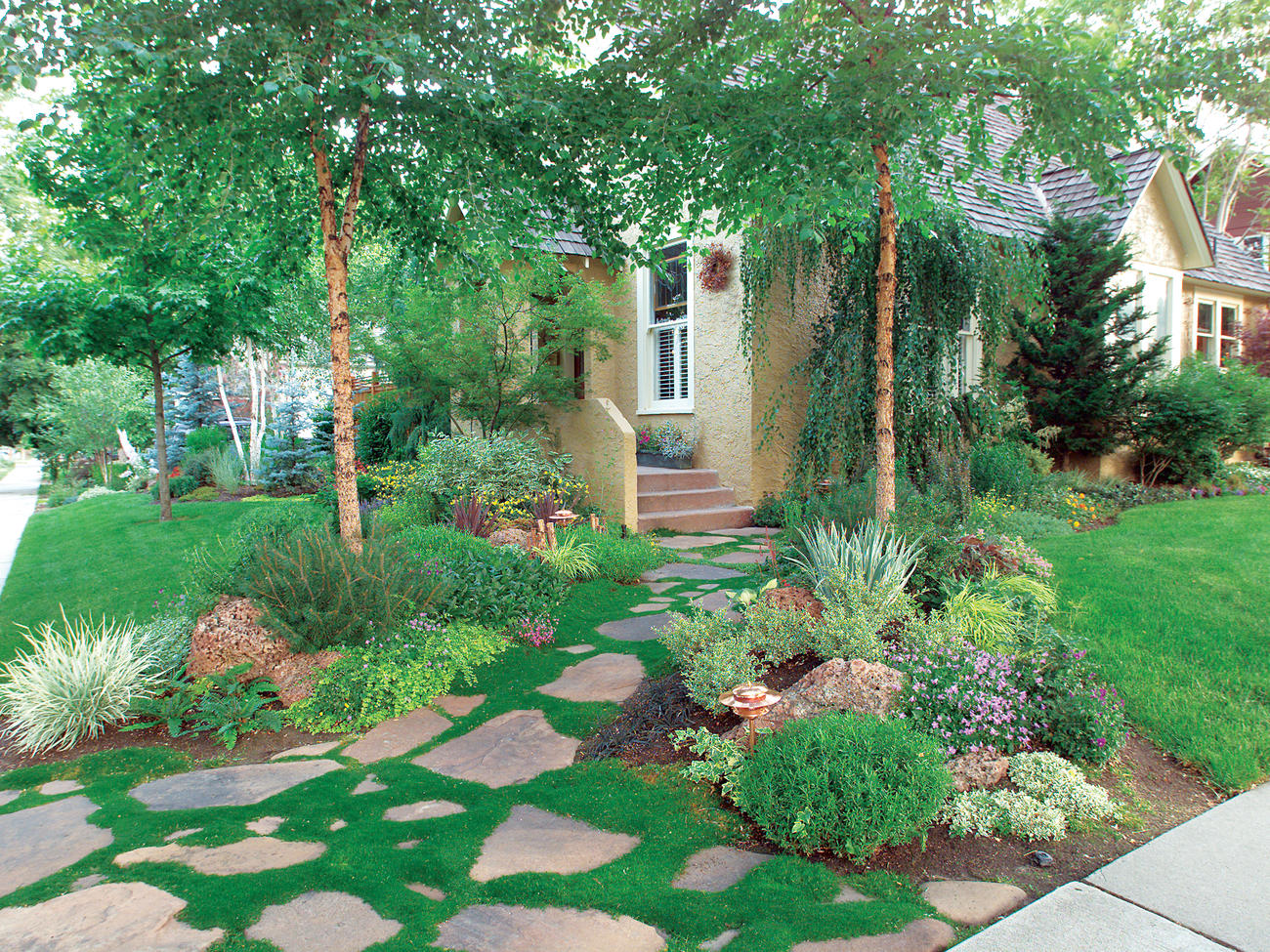 Create a Moss Garden