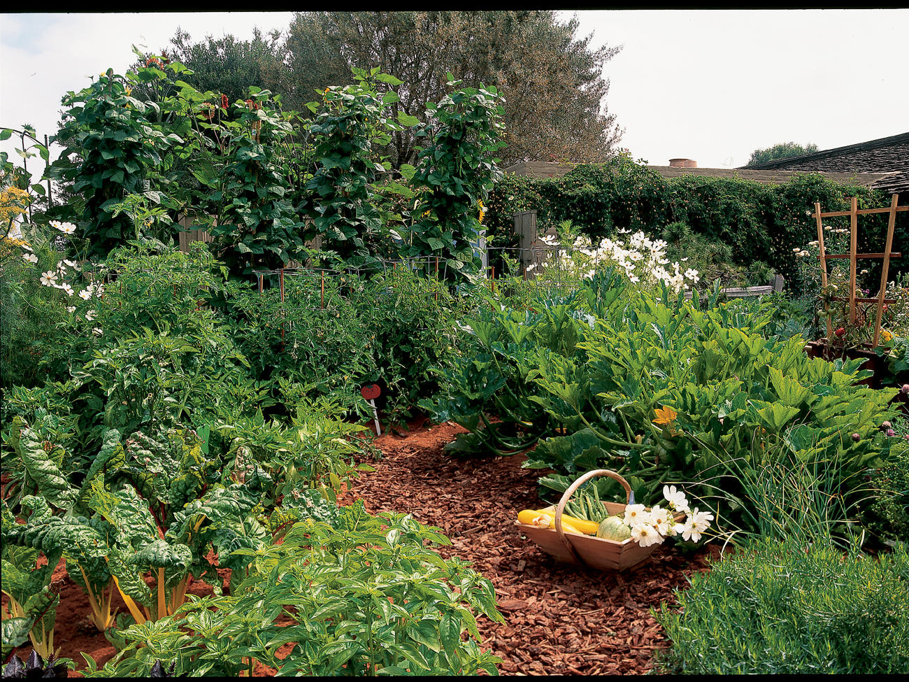 Keyhole vegetable garden