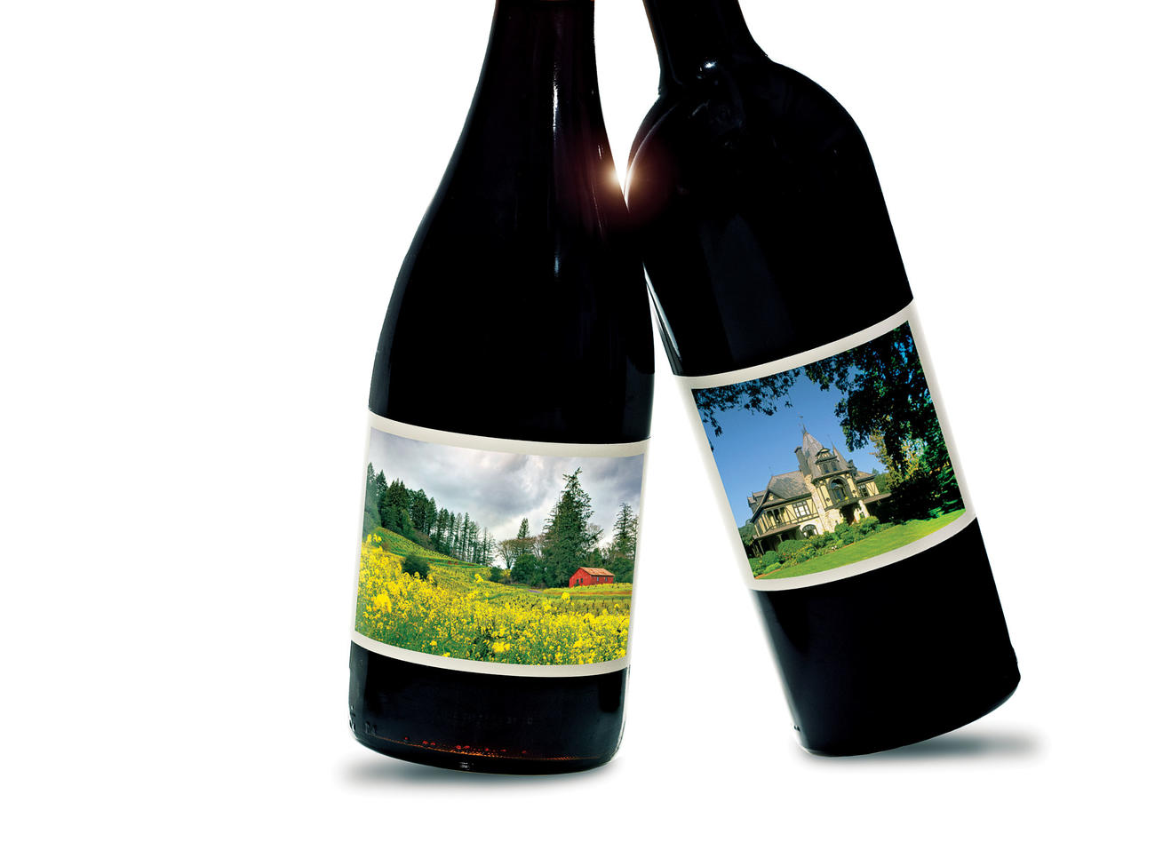 Wine Country Tours