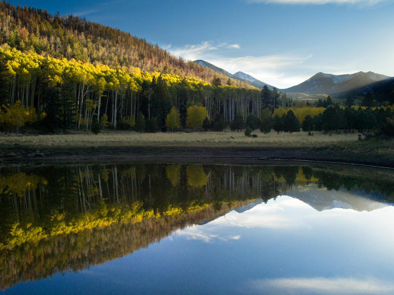 Experience Flagstaff’s Fall
