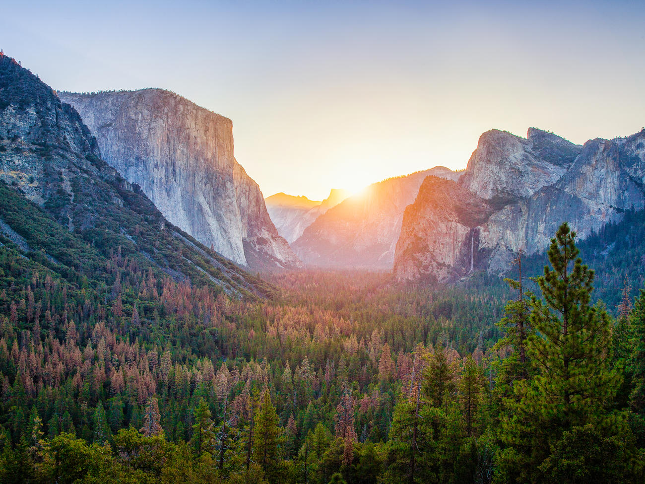 are dogs allowed in yosemite valley