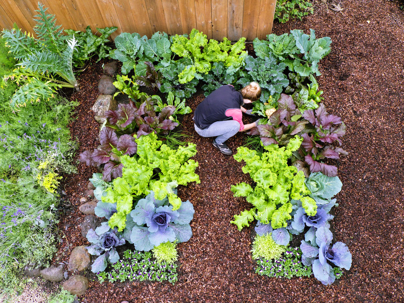 Plant a Cool-Season Vegetable Garden