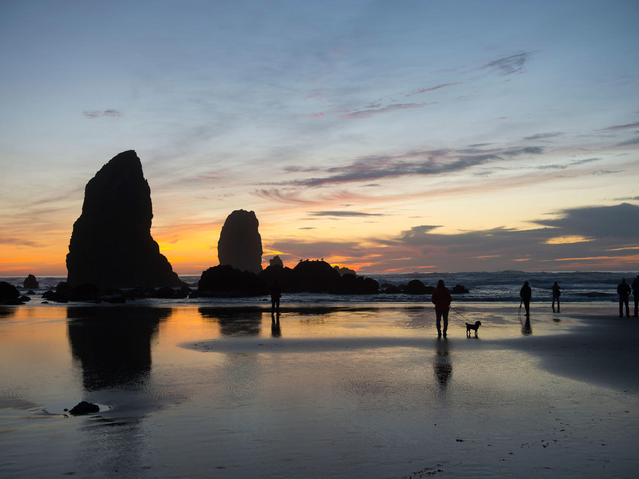 Top Dog Beaches in the West Plus Acessories and Tips