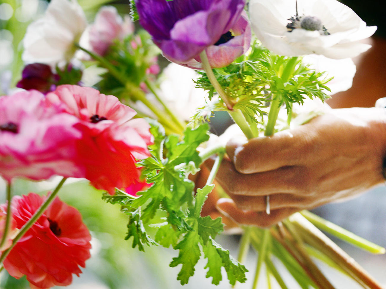 How to Grow Flowers Organically