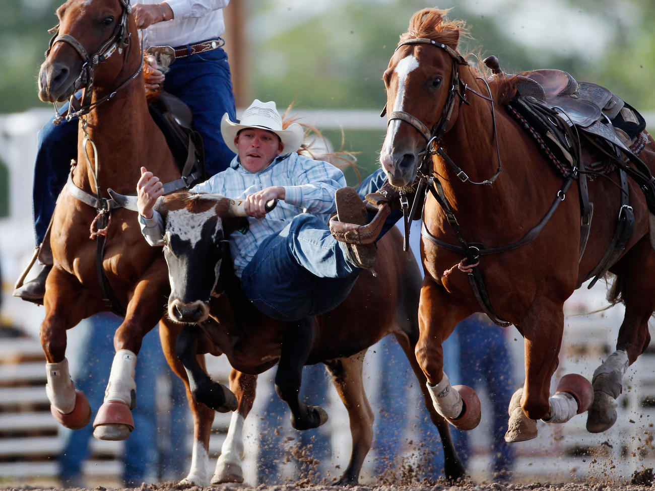 Best Rodeos to See This Summer