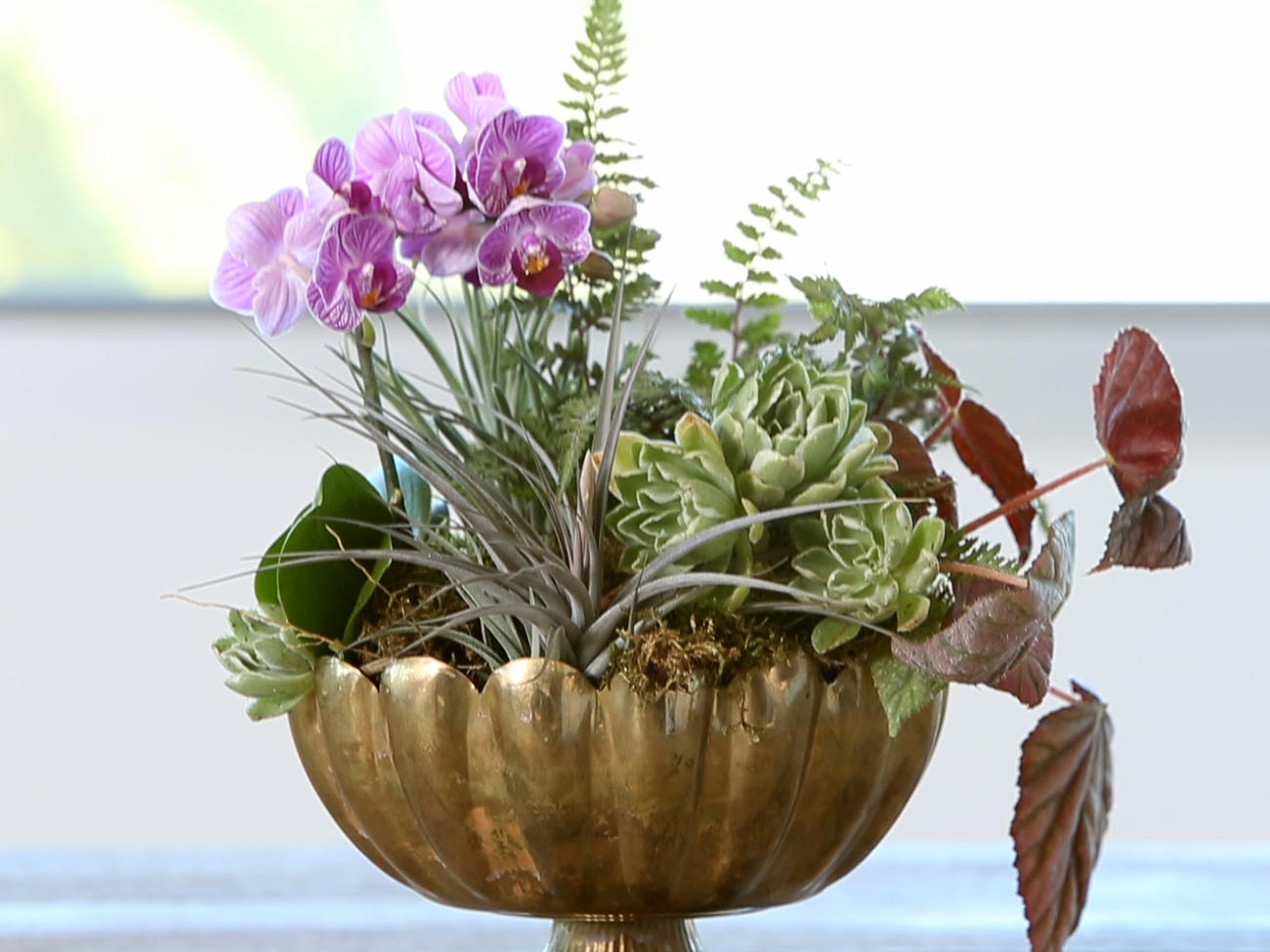 How to Make an Orchid Arrangement