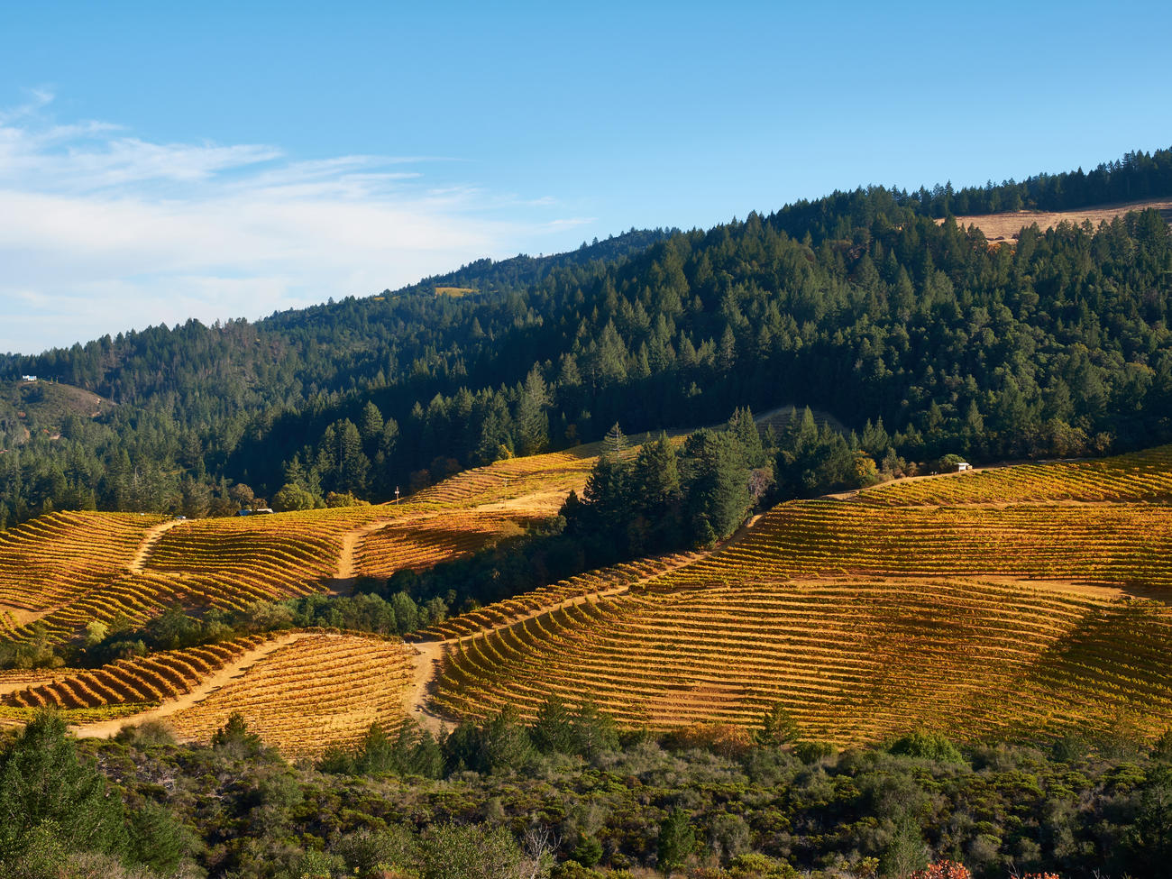 2 Superb Napa Valley Road Trips You Can Take Now