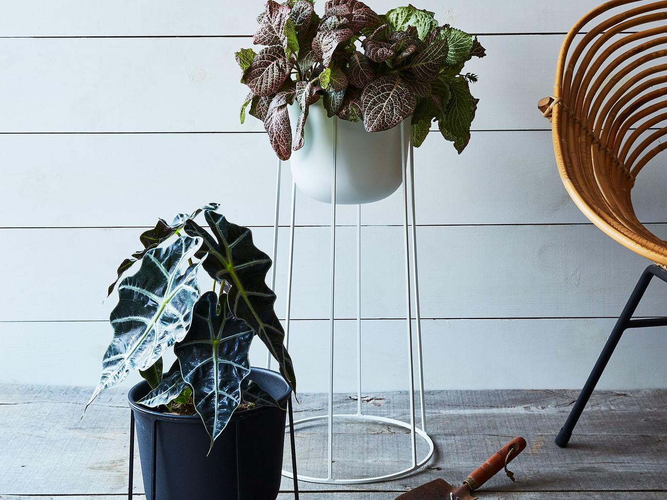 Modern Must-Have Yard Decorations