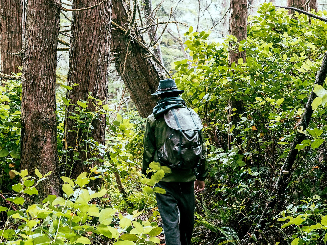 An Epic Adventure on B.C.’s Vancouver Island