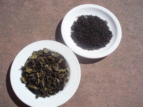 Team Tea: The green and the black