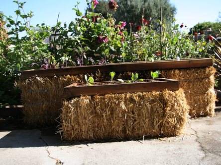 Building a straw bale garden