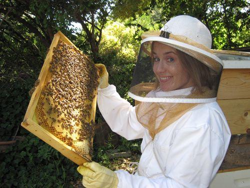 Beekeeper Superstitions