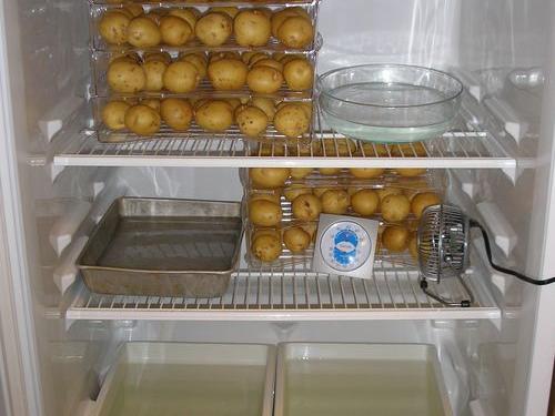 How to Preserve Potatoes Without a Root Cellar