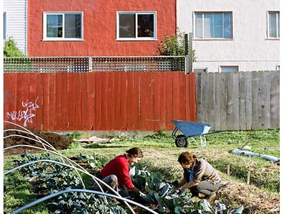 Help make urban farming in San Francisco a reality