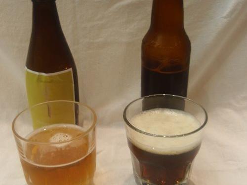 Beer tasting notes: Our homebrews haven’t fizz-led out