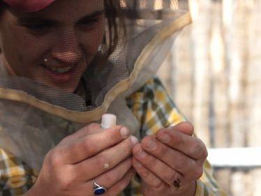 Behind the veil (smoker?): Meet 3 beekeepers in Albuquerque
