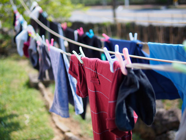 How to Use Laundry Water in Your Garden