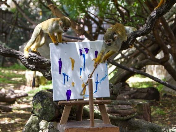 Oakland Zoo animals are painting for a cause. Watch!