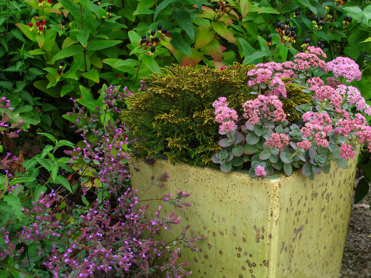 Planting Ideas: Rich and Composed Color