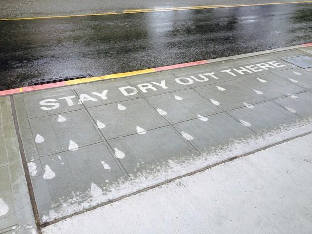 Want to see the best street art in Seattle? Pray for rain!
