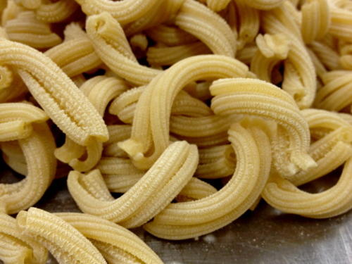 The artisanal pasta CSA