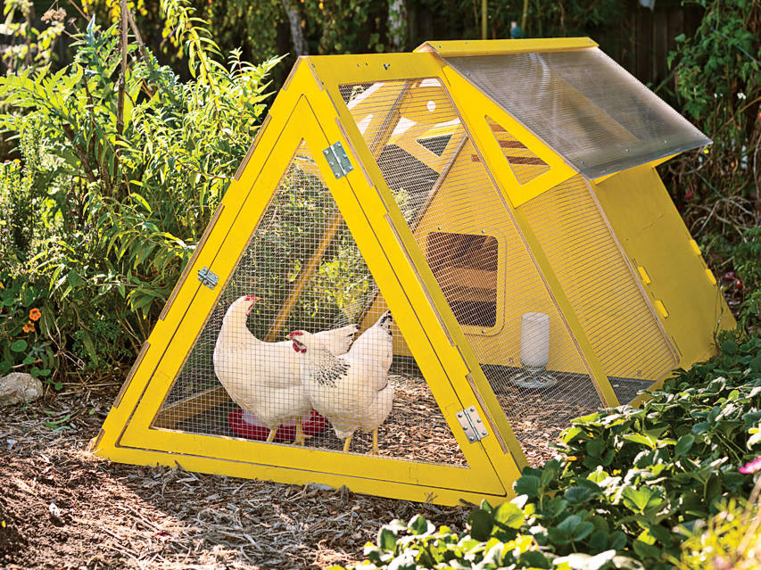 Yellow and Fabulous: The Mother of All Chicken Coops
