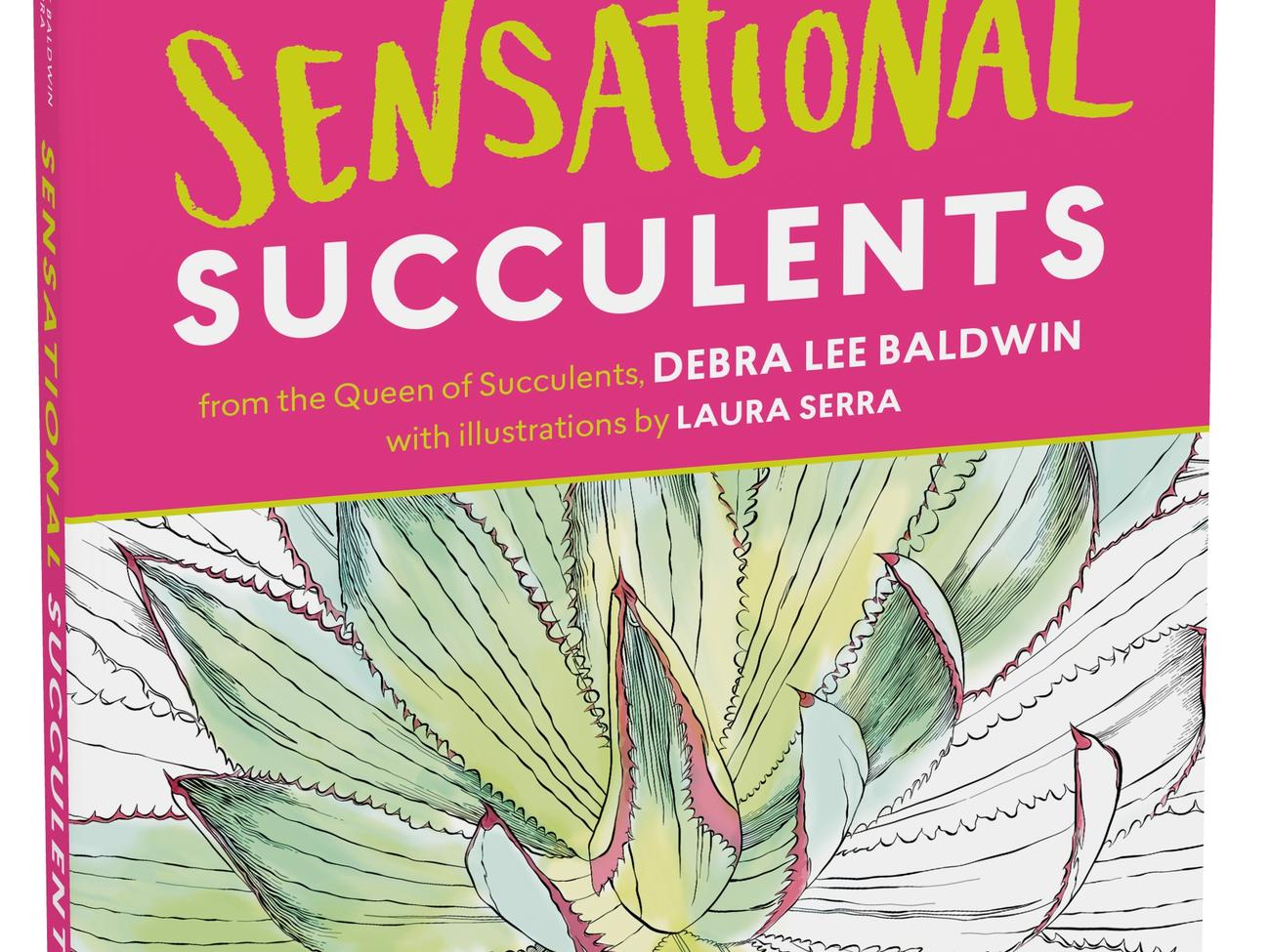 Giveaway: Sensational Succulents coloring book