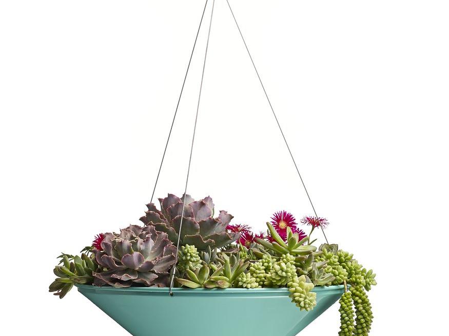 Plant a modern hanging basket