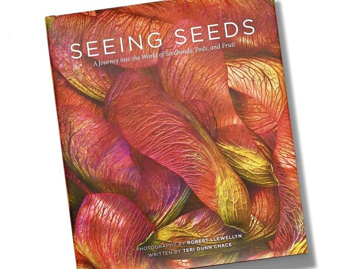 Giveaway: gallery print from Seeing Seeds