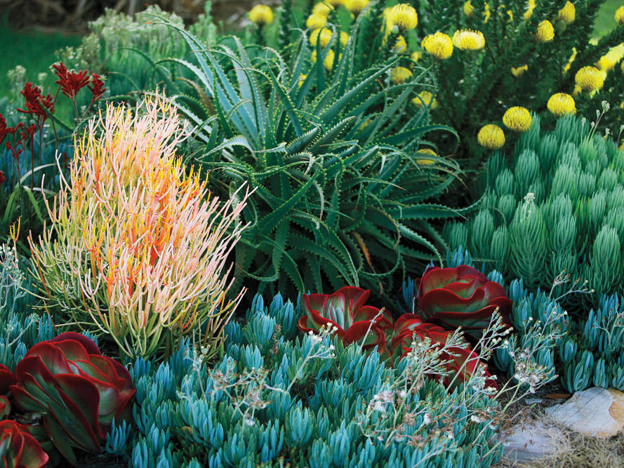 Last Chance to Win a Low-Water Landscape!