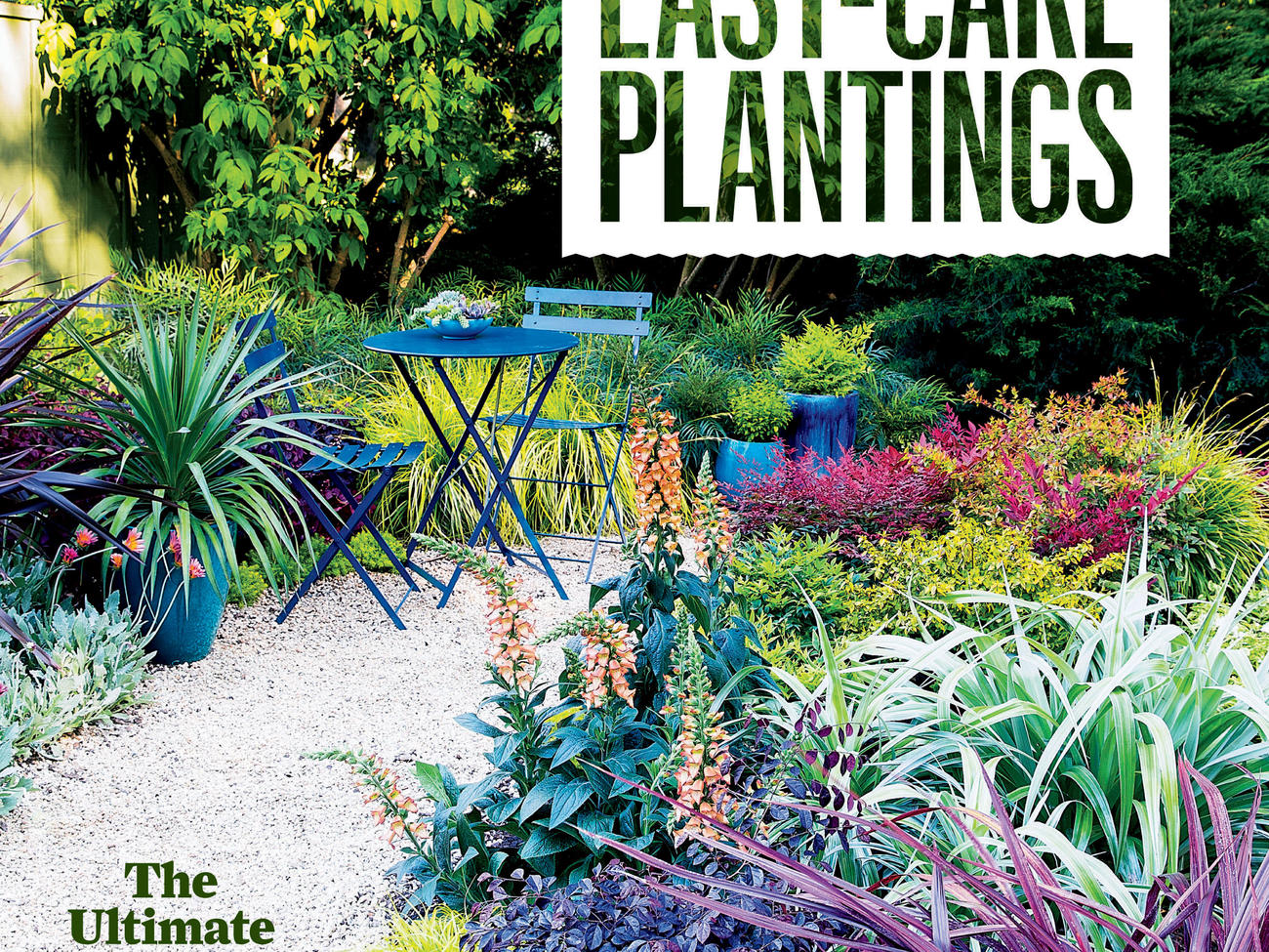 7 Easy Spring Planting Ideas from our New Book