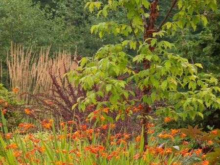 Fall Planting Ideas From the Authors of Fine Foliage