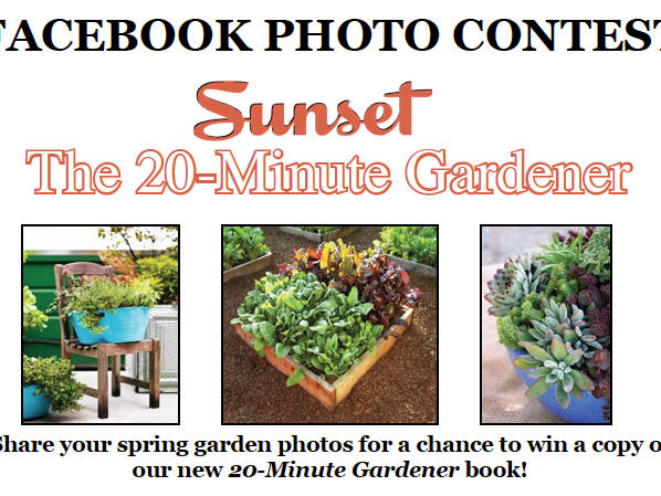 Facebook Contest: Show Off Your Spring Garden