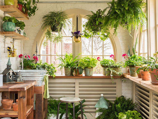 5 Ways to Bring Your Garden Indoors for Fall