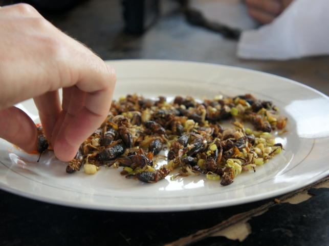 What to Eat This Week: Crickets … in Portland, of Course